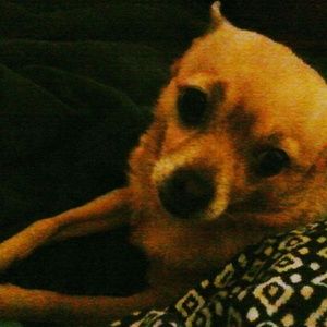 Meet your Posher, Beth